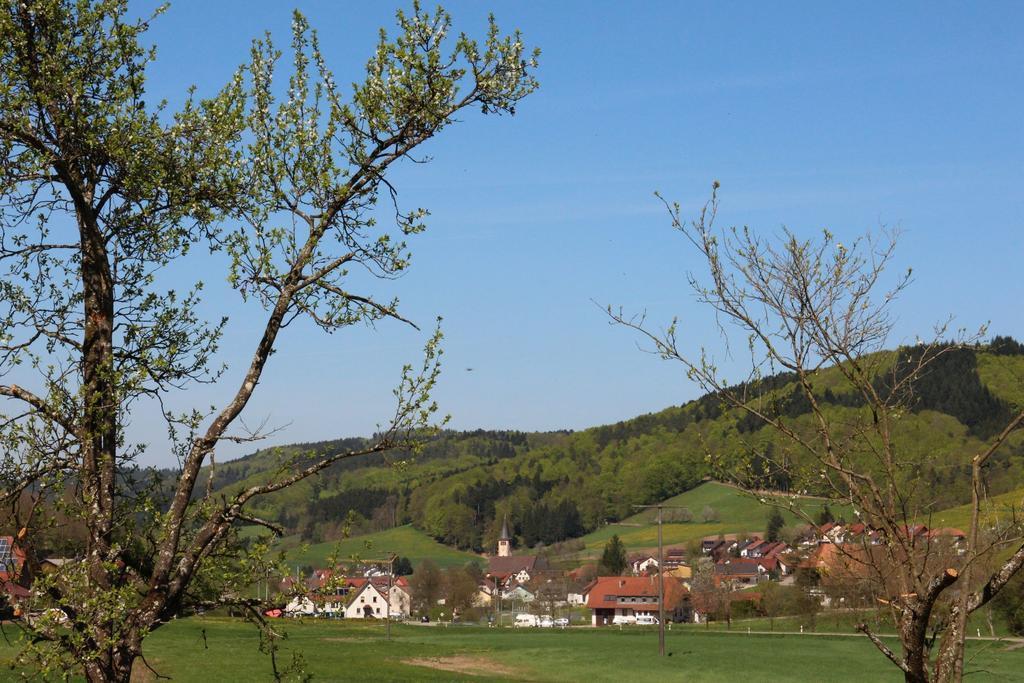 Offenburger Hof Schuttertal Exterior foto